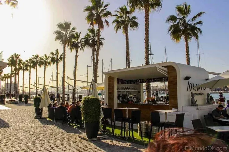 Palm-lined waterfront promenade and outdoor dining beside Málaga marina